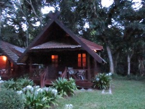 Our home in the jungle